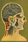HouseholdPhysician.com